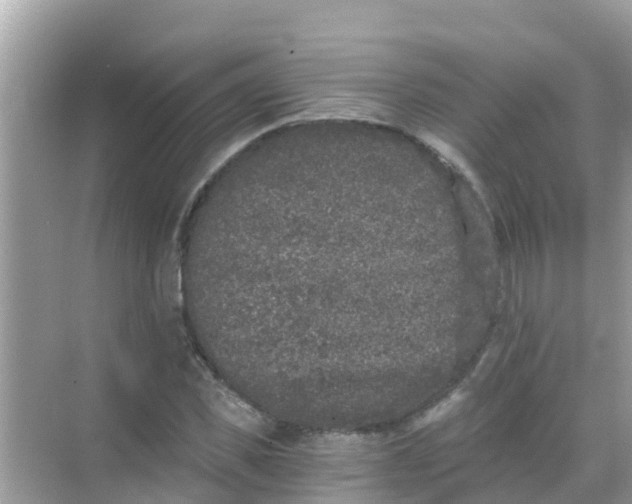 X0000068300925200605051929