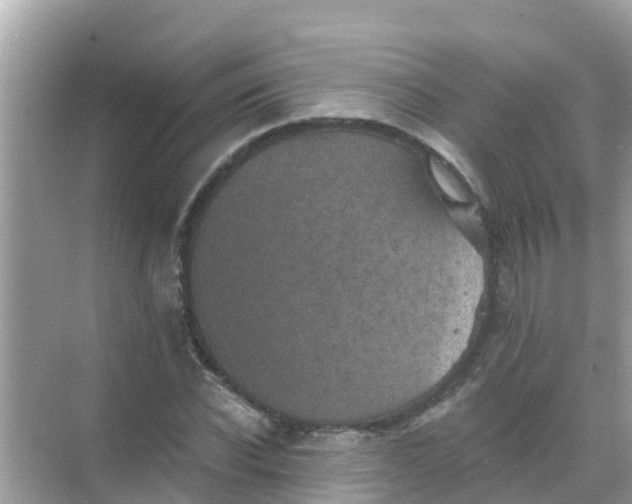 X0000068300926200605051929