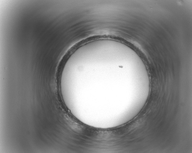 X0000068300927200605051929