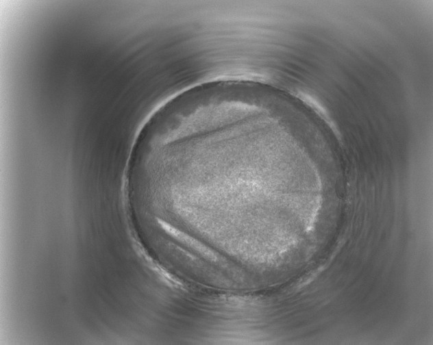 X0000068300928200605051929