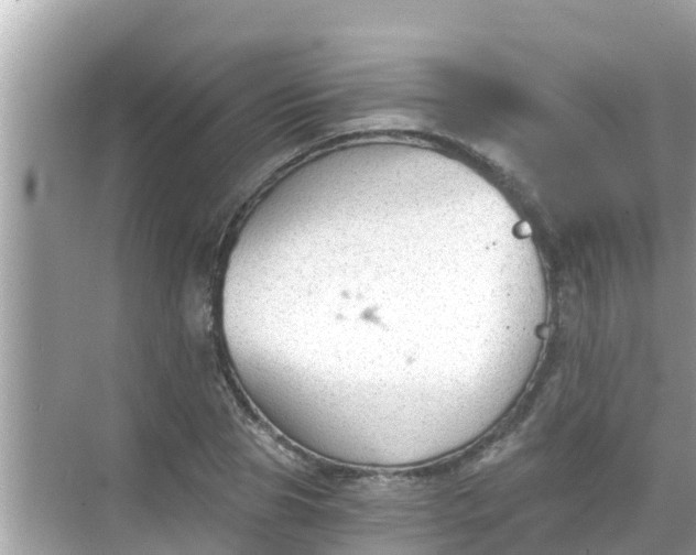 X0000068300929200605051929