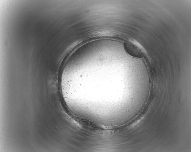 X0000068300930200605051929