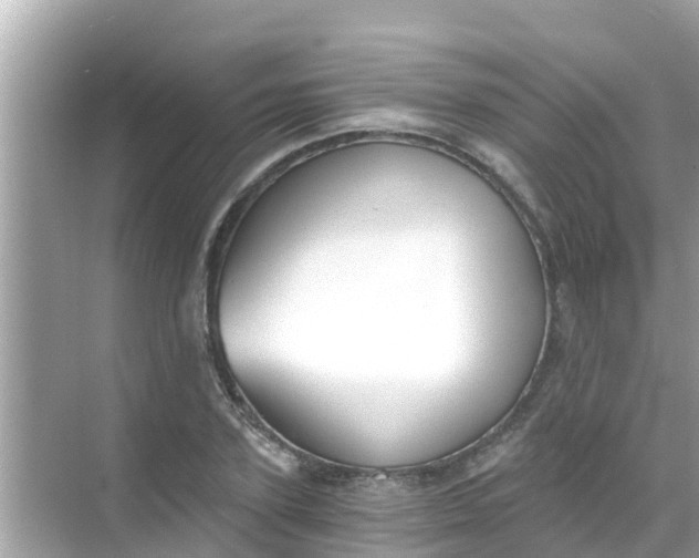 X0000068300931200605051929