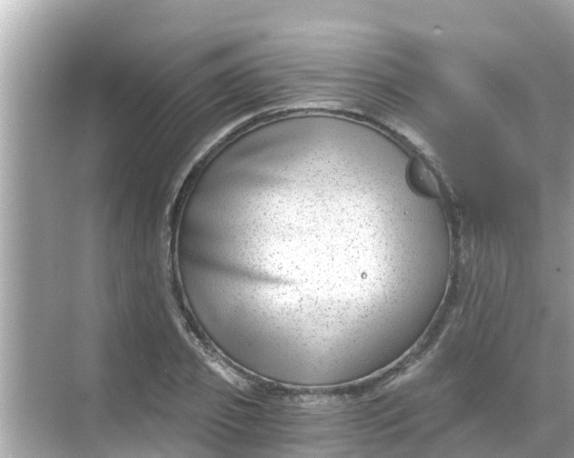 X0000068300933200605051929