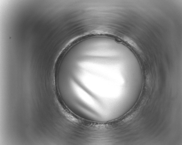 X0000068300934200605051929