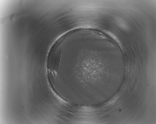 X0000068300935200605051929