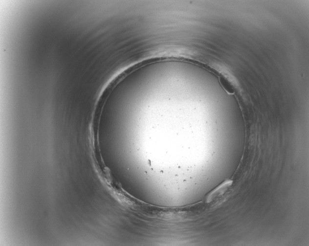 X0000068300936200605051929