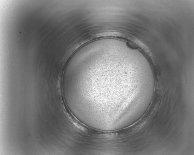 X0000068300937200605051929