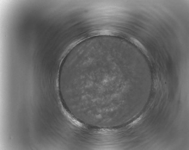 X0000068300938200605051929