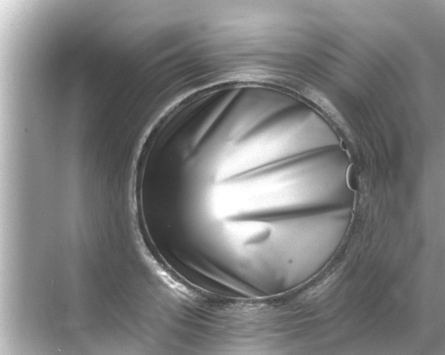 X0000068300939200605051929