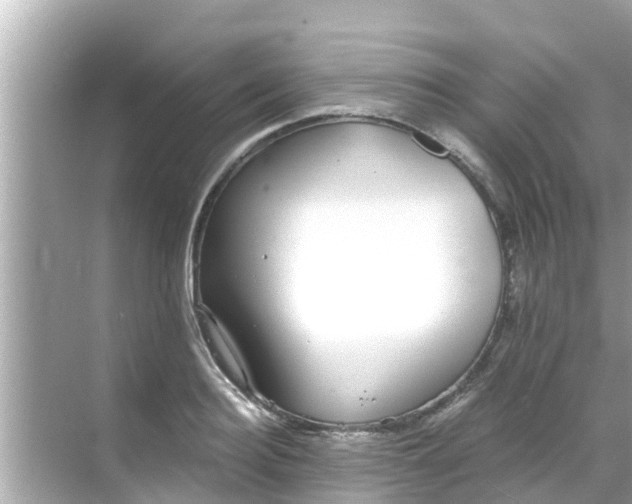 X0000068300940200605051929