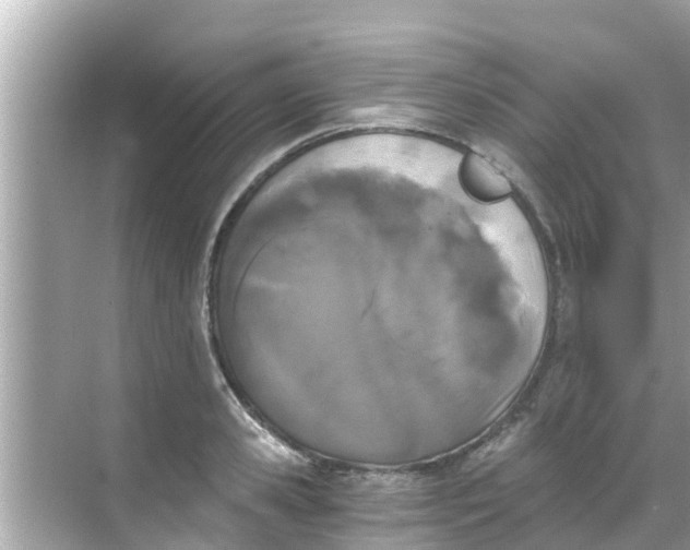 X0000068300941200605051929