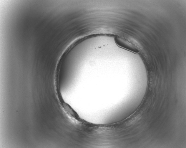 X0000068300942200605051929