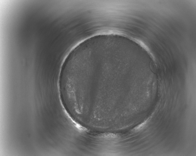 X0000068300943200605051929