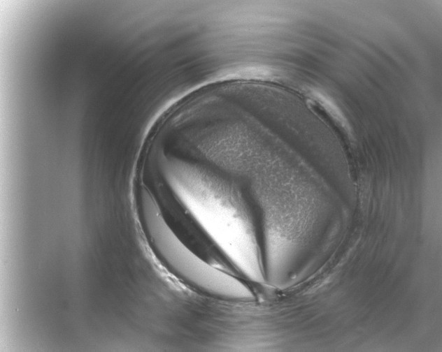 X0000068300944200605051929