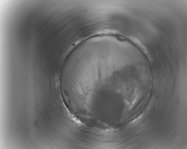 X0000068300945200605051929