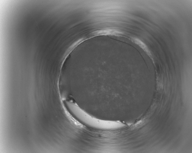 X0000068300946200605051929