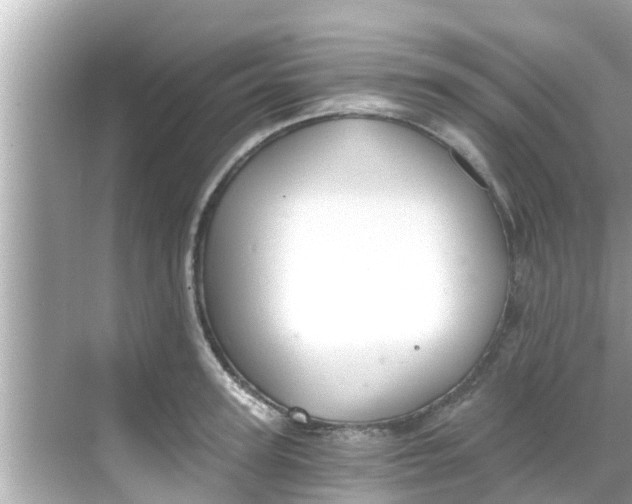 X0000068300947200605051929