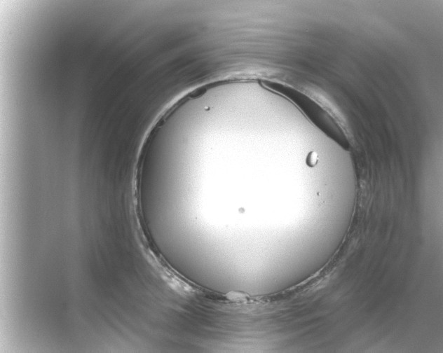 X0000068300948200605051929