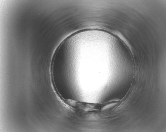 X0000068300951200605051930