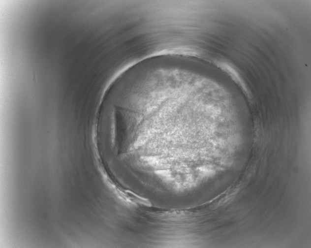 X0000068300952200605051930