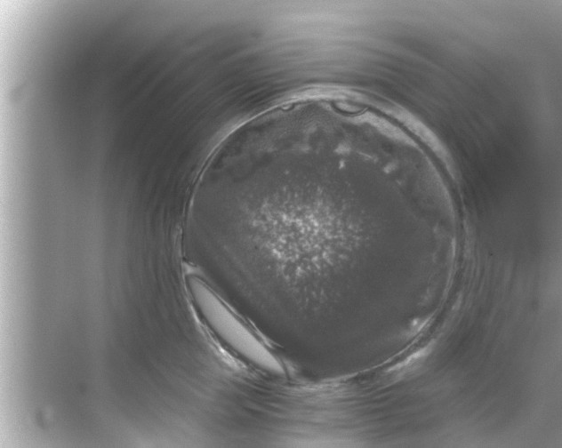 X0000068300953200605051930