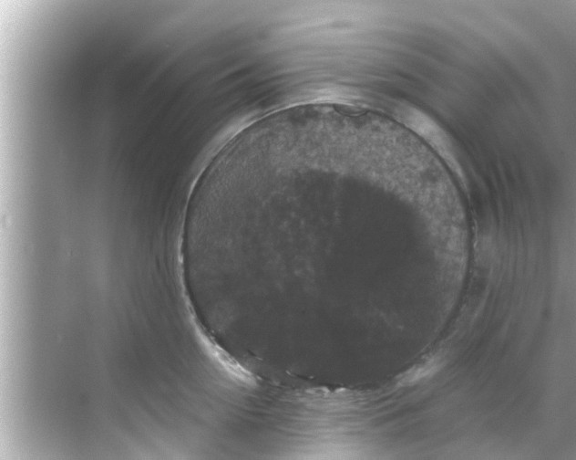 X0000068300954200605051930