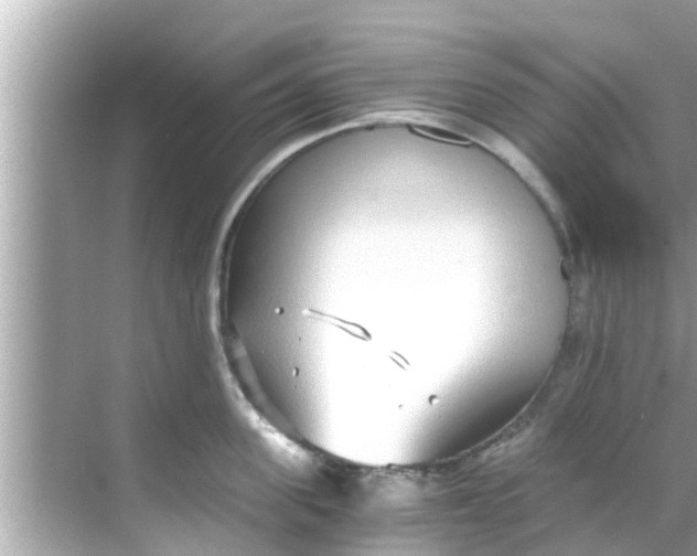 X0000068300955200605051930