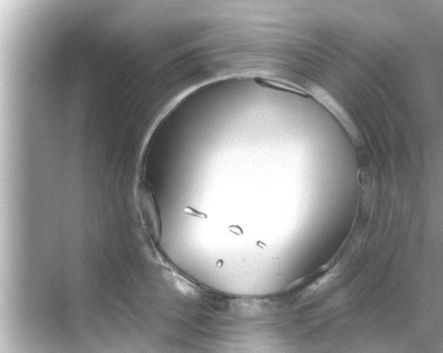 X0000068300956200605051930