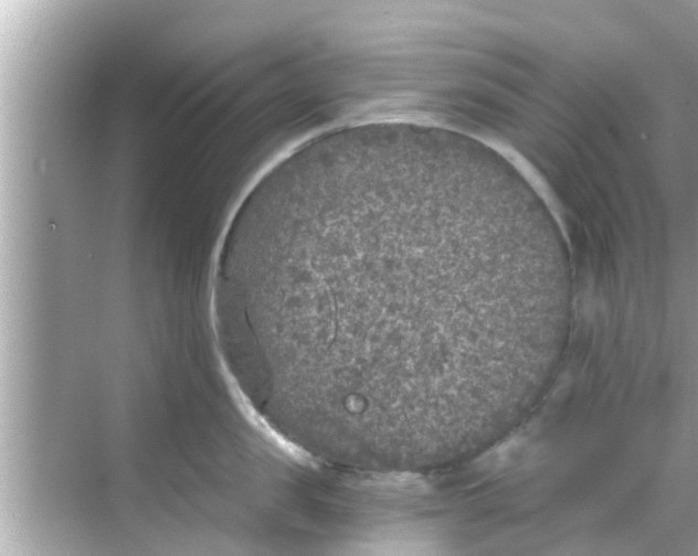 X0000068300957200605051930