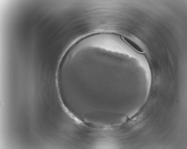 X0000068300958200605051930