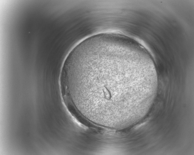 X0000068300959200605051930