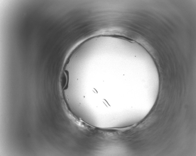 X0000068300960200605051930