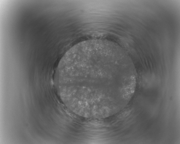 X0000068300962200605051929