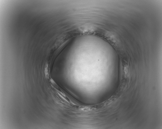 X0000068300963200605051929