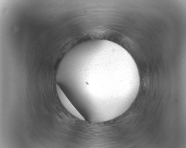 X0000068300964200605051929