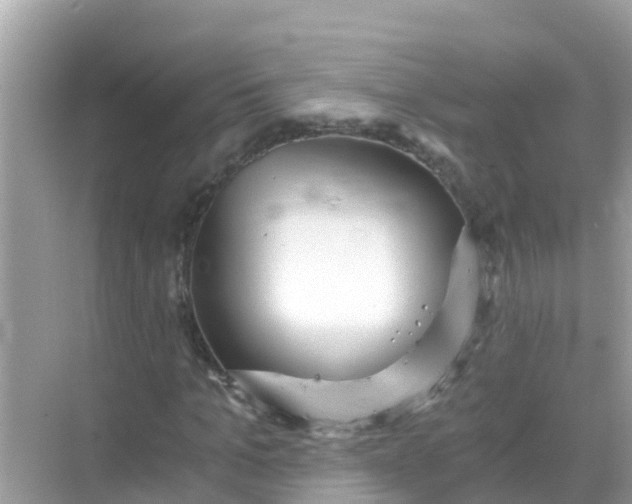 X0000068300965200605051929