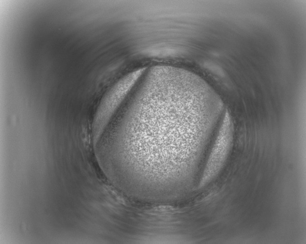 X0000068300966200605051929