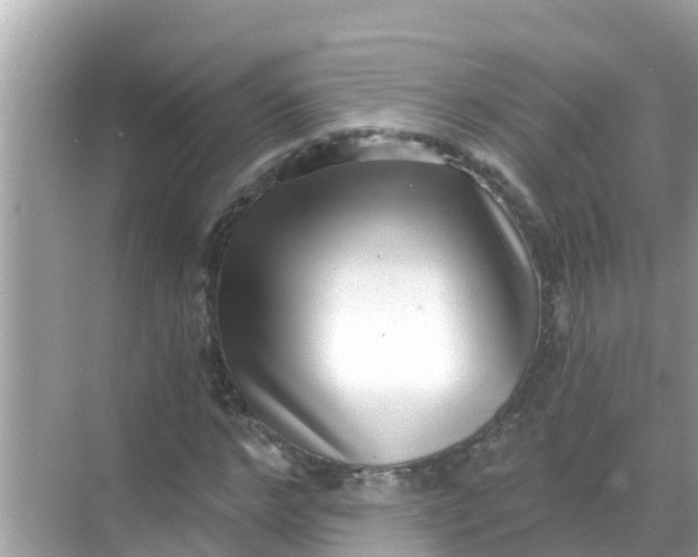 X0000068300968200605051929