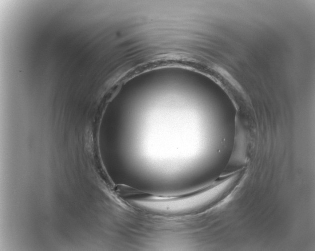 X0000068300969200605051929