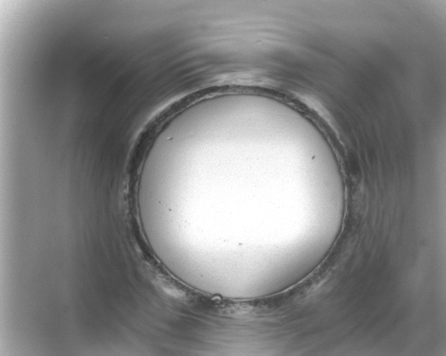 X0000068300971200605051929