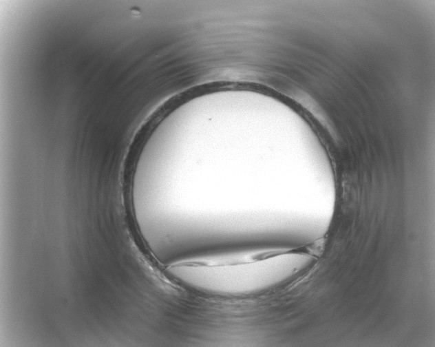 X0000068300972200605051929