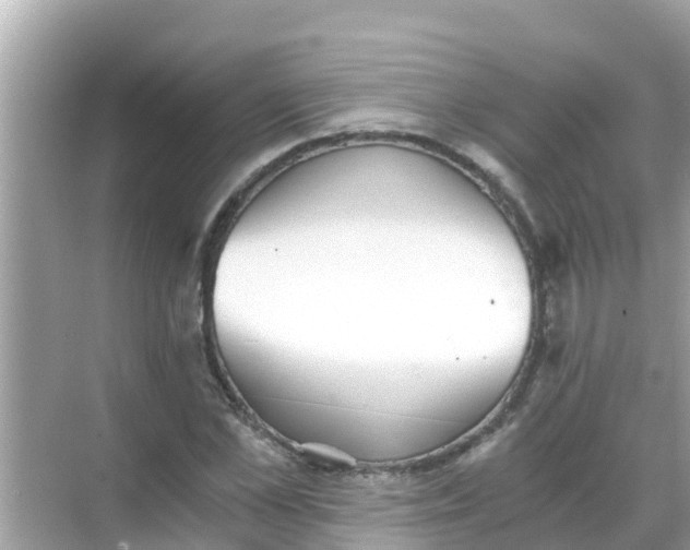 X0000068300973200605051929