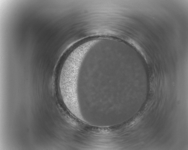 X0000068300975200605051929