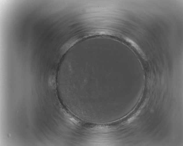 X0000068300977200605051929