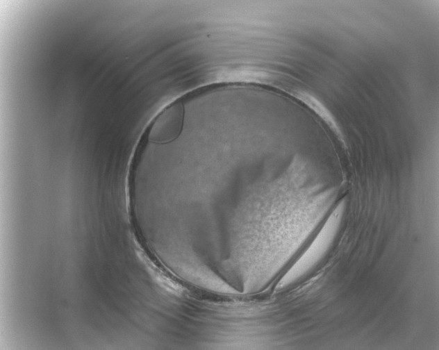 X0000068300980200605051929