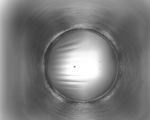 X0000068300981200605051929