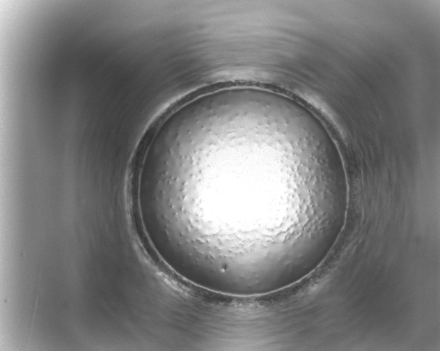 X0000068300983200605051928