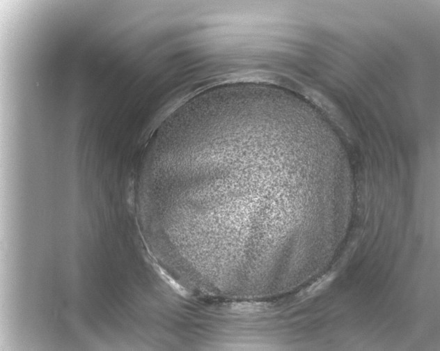 X0000068300985200605051928