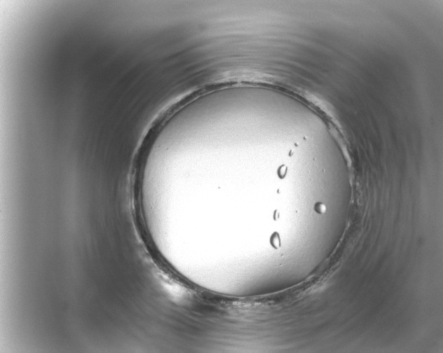 X0000068300987200605051928